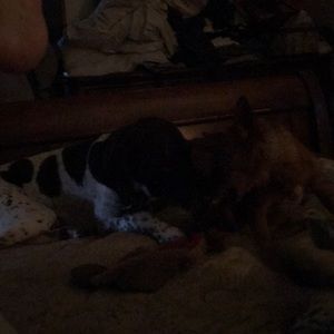 Meet your Posher, Robert